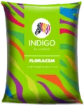 Indigo paints floracem - Aapka Painter Indigo paints floracem - Aapka Painter