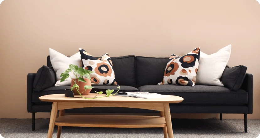 Best Paint for House Decorations