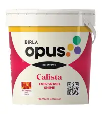 Birla Opus Calista Ever Wash Shine - Aapka Painter