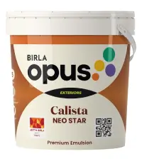 Birla Opus Calista Neo Star - Aapka Painter
