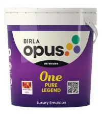 Birla Opus One Pure Legend - Aapka Painter