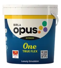 Birla Opus One True Flex - Aapka Painter