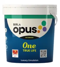 Birla Opus One True Life - Aapka Painter