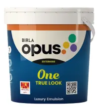 Birla Opus One True Look - Aapka Painter
