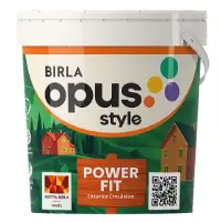 Birla Opus Style Power Fit - Aapka Painter