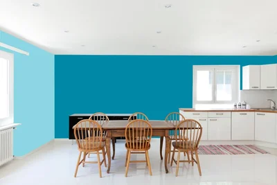 dining-room color combination