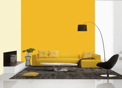 living-room color combination