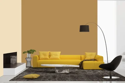 living-room color combination